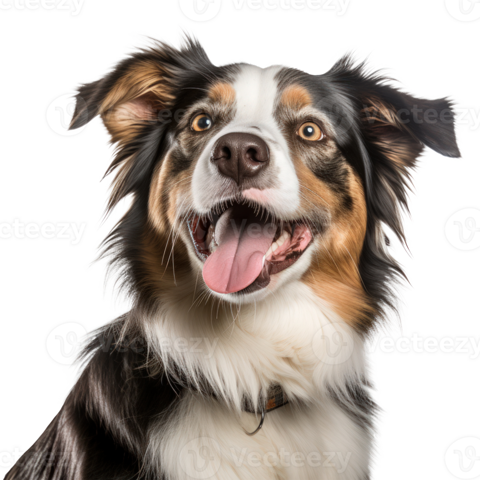 schattig hond portret geïsoleerd. illustratie ai generatief png