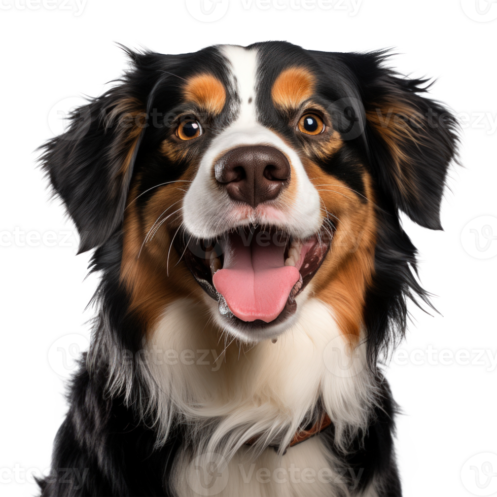 Cute dog portrait isolated. Illustration AI Generative png