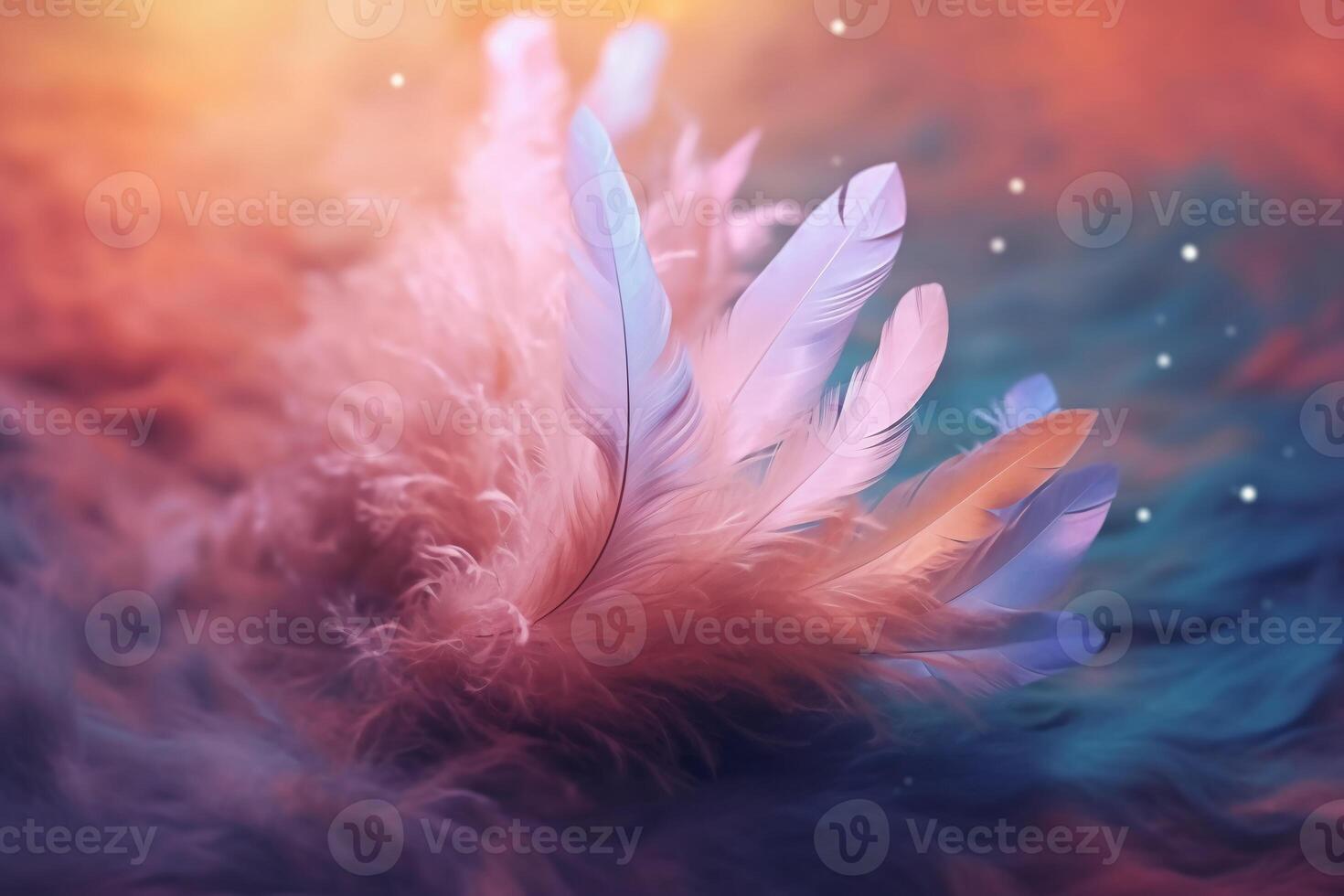the spray flew high and the feathers floated. photo