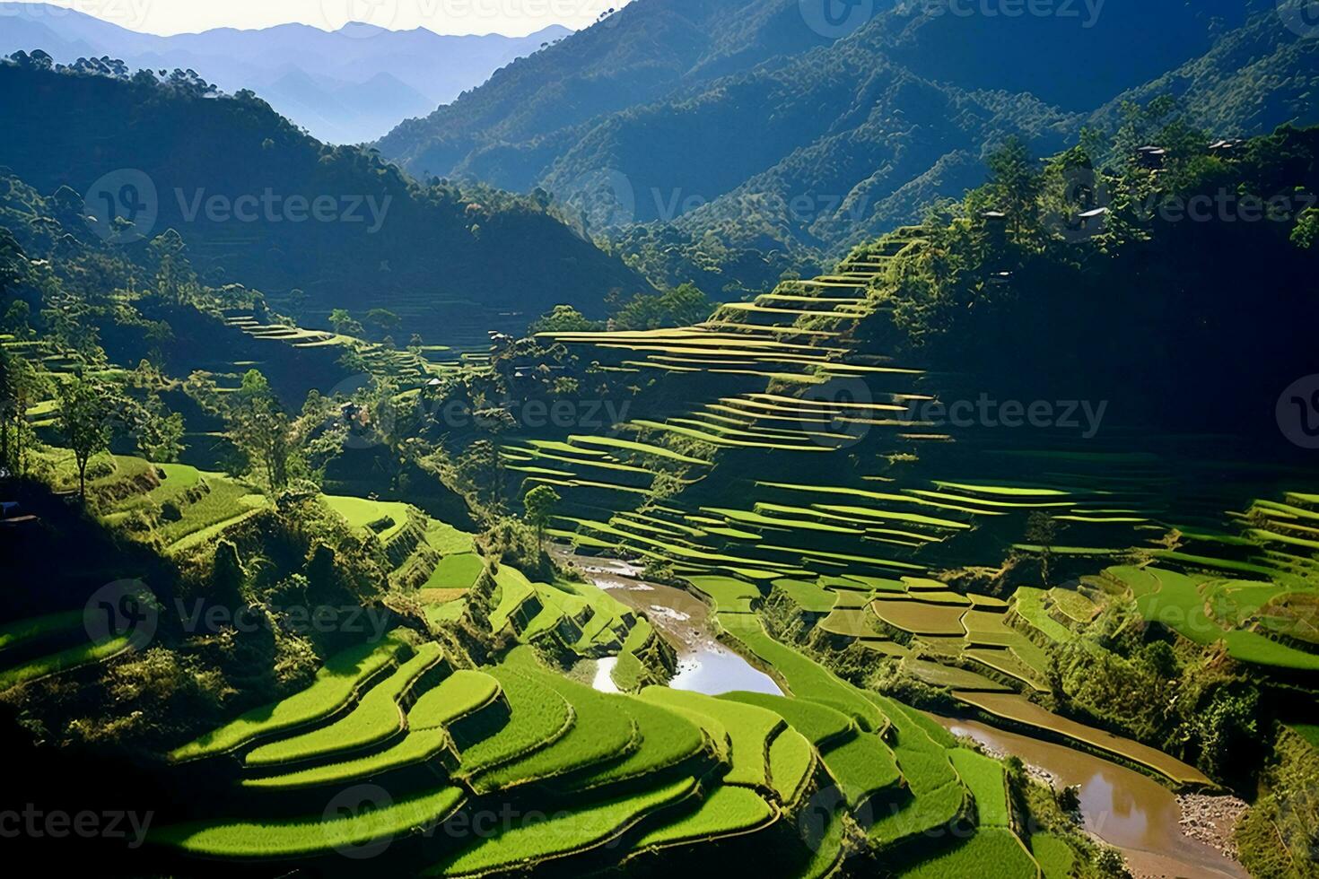 Green Terraced Rice Field. AI generative photo