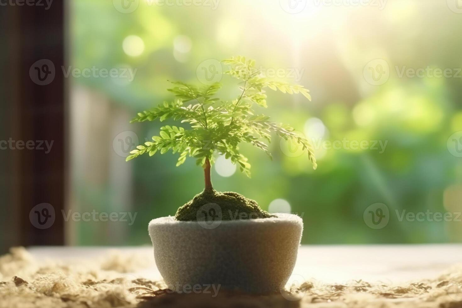 pequeño árbol creciente con Brillo Solar en jardín. eco concepto brillante, ai generativo foto