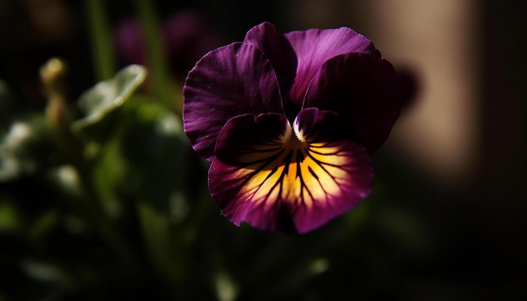 Vibrant bouquet of pink and purple blossoms generated by AI photo