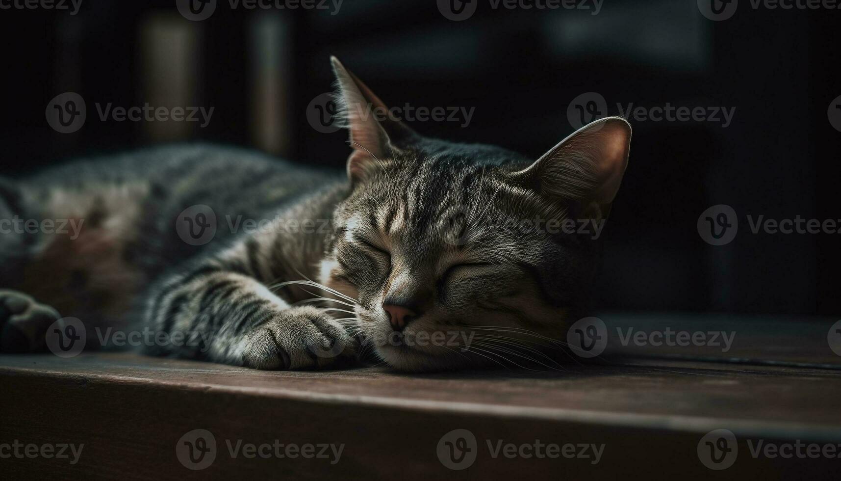 mullido gatito durmiendo, pacífico y encantador adentro generado por ai foto