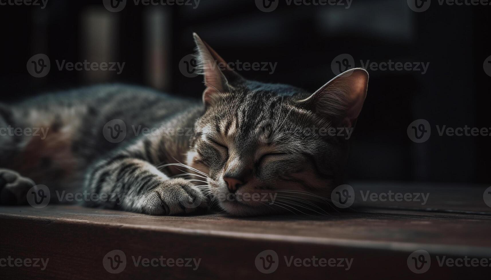 Fluffy kitten sleeping, peaceful and charming indoors generated by AI photo