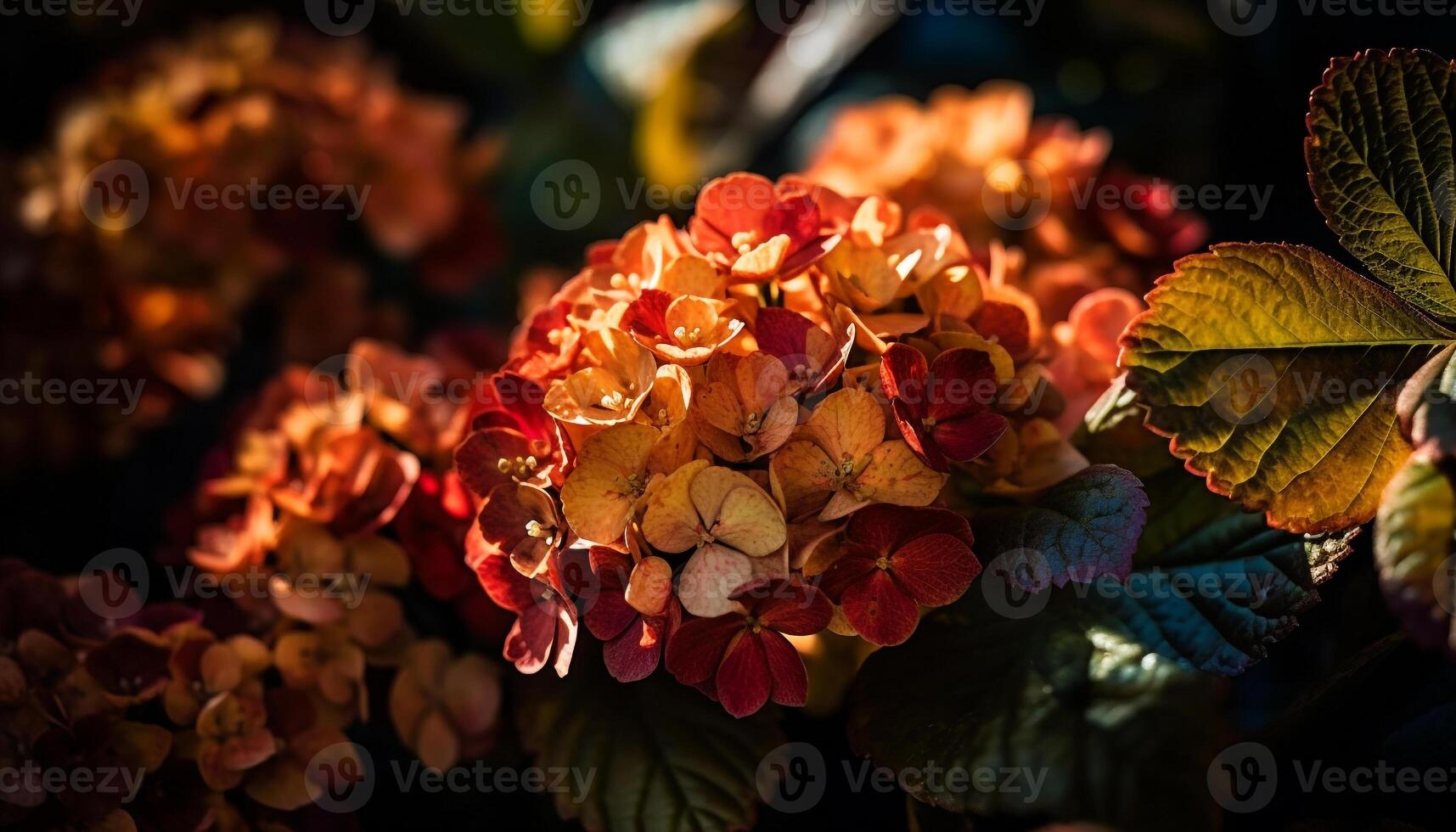 Vibrant hydrangea blossom, a gift from nature generated by AI photo