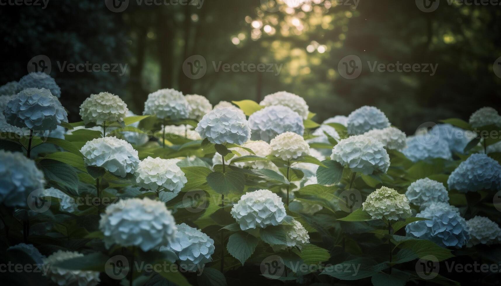 Fresh hydrangea blossom in formal garden tranquility generated by AI photo