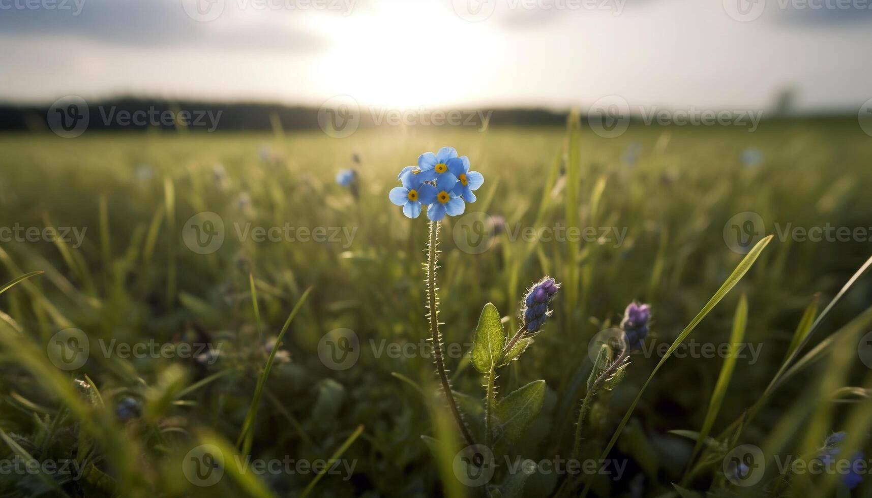 Wildflower meadow blossoms in the summer sun generated by AI photo