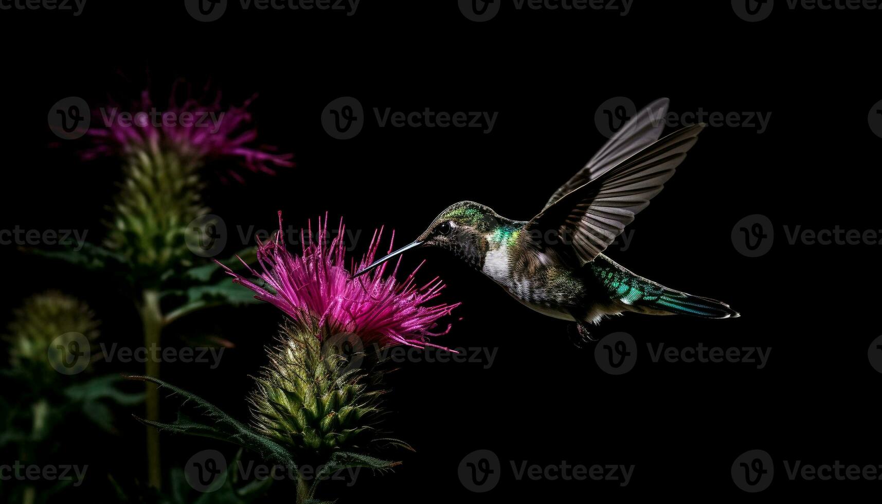 Hovering hummingbird pollinates single flower in mid air generated by AI photo