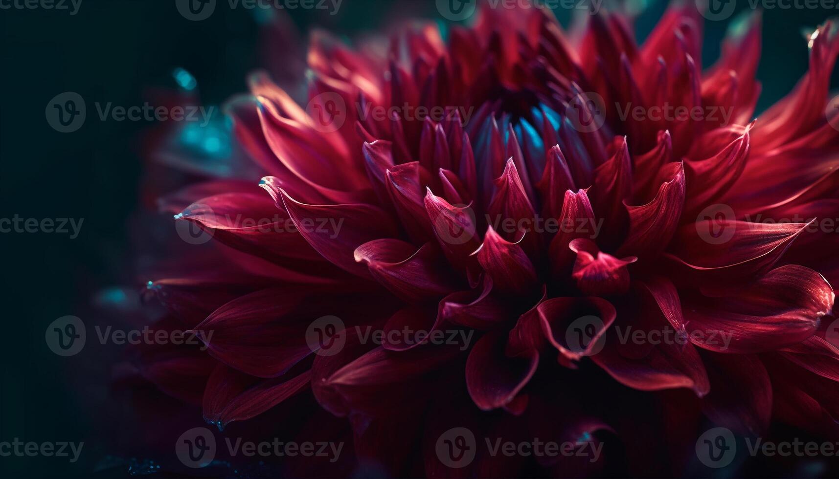 Vibrant petals of a dahlia, a gift of nature beauty generated by AI photo