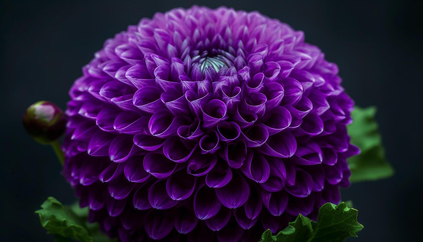 Abstract fractal magnification of a single dahlia blossom in nature generated by AI photo