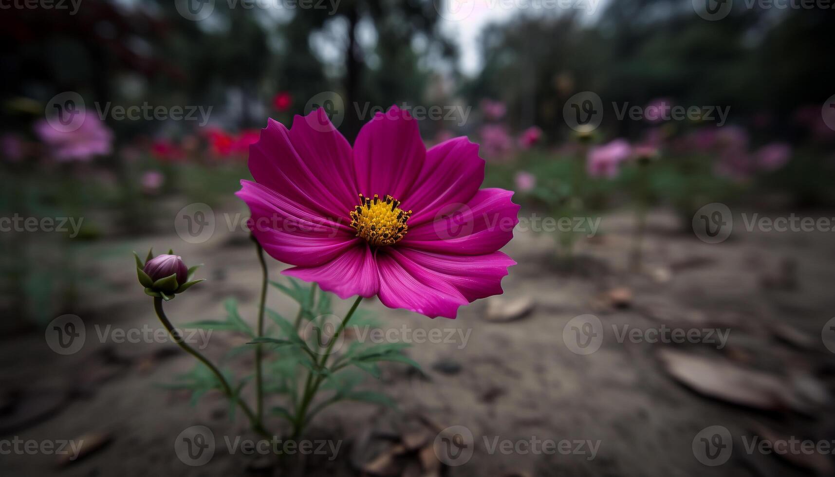 Vibrant dahlia blossom in a meadow of wildflowers and grass generated by AI photo