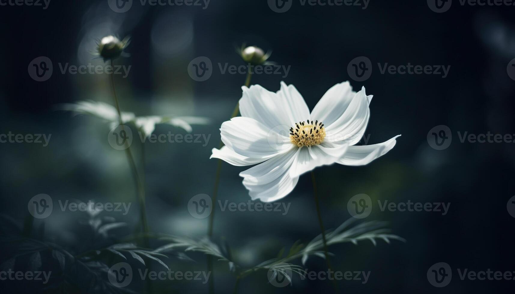 Soft focus on single daisy, yellow petal in green meadow generated by AI photo