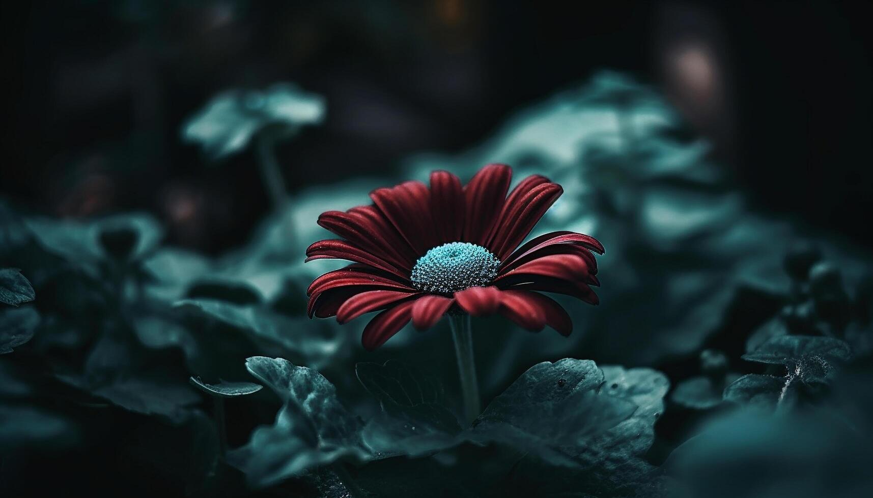 Beauty in nature Close up of a single daisy in a meadow generated by AI photo