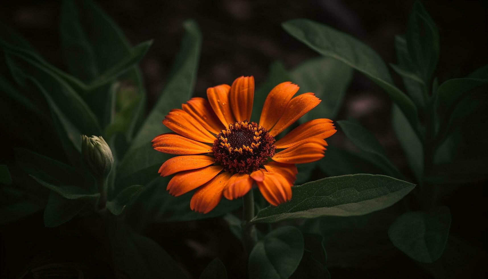 Vibrant yellow daisy in green meadow, nature beauty on display generated by AI photo