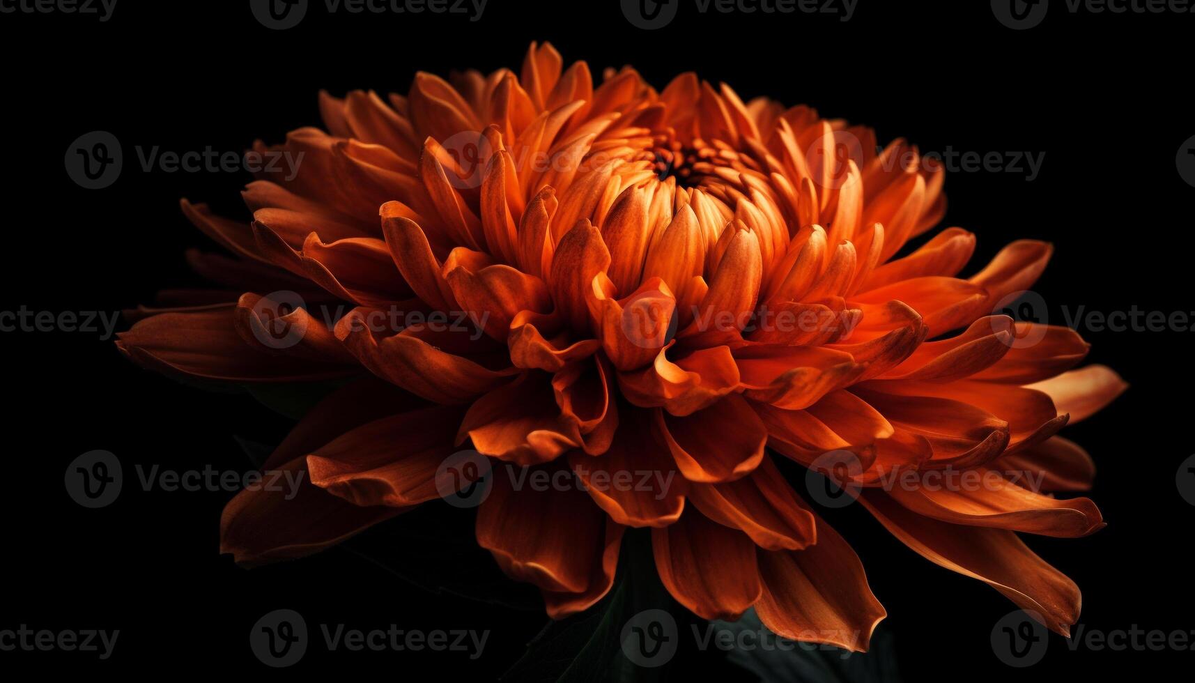 Vibrant colors of nature bouquet Dahlia, Chrysanthemum, Gerbera Daisy generated by AI photo