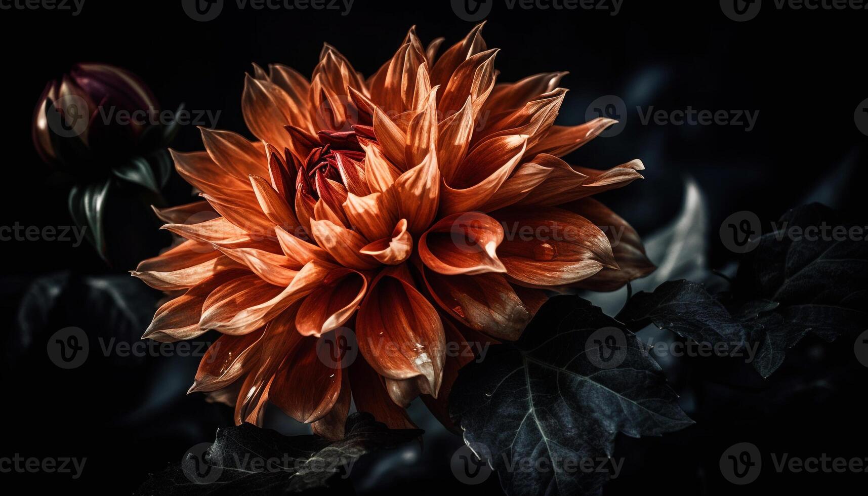 Vibrant petals of a multi colored dahlia in a black vase generated by AI photo