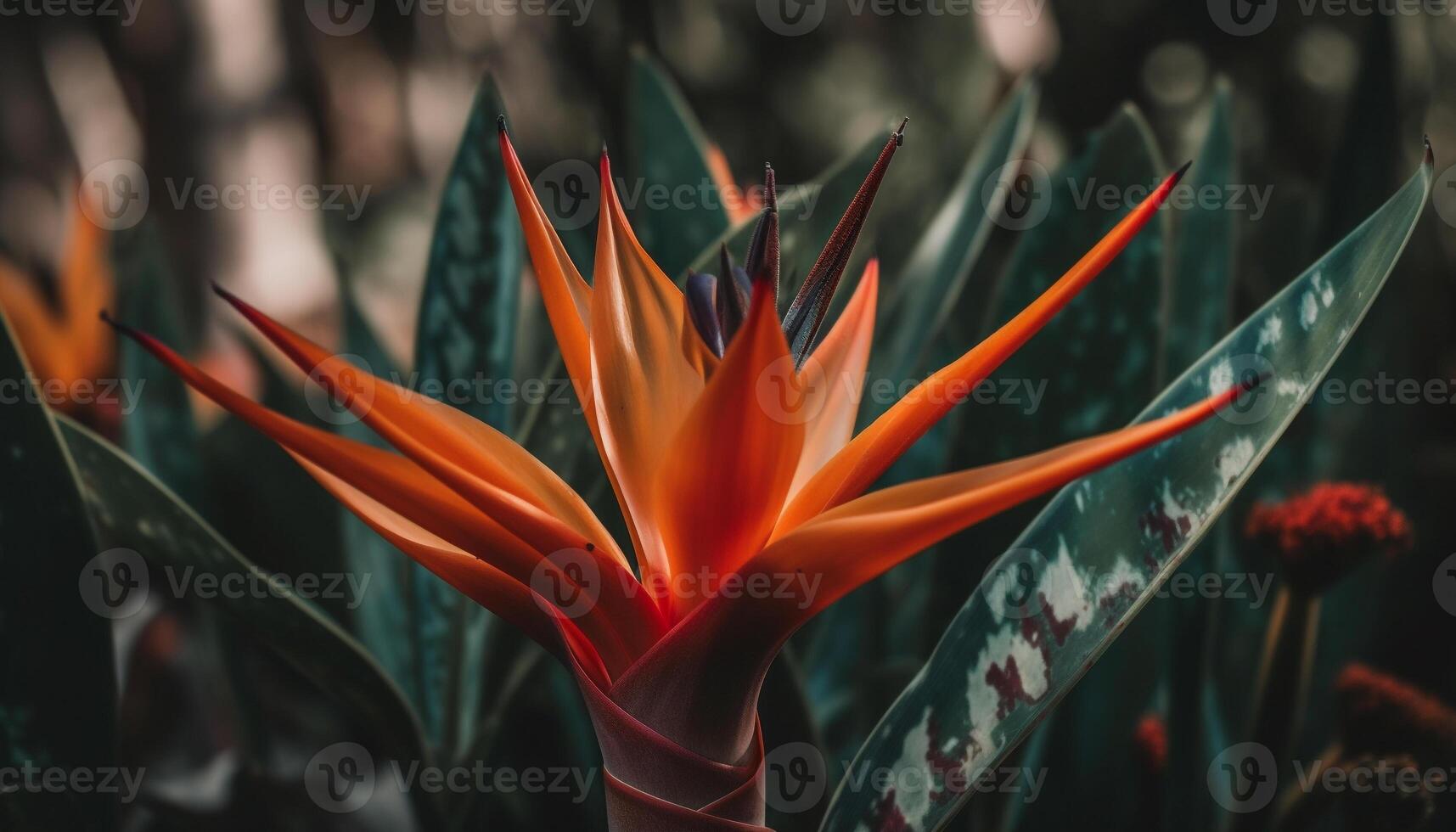 Vibrant tropical flower head in sharp close up, wet with freshness generated by AI photo