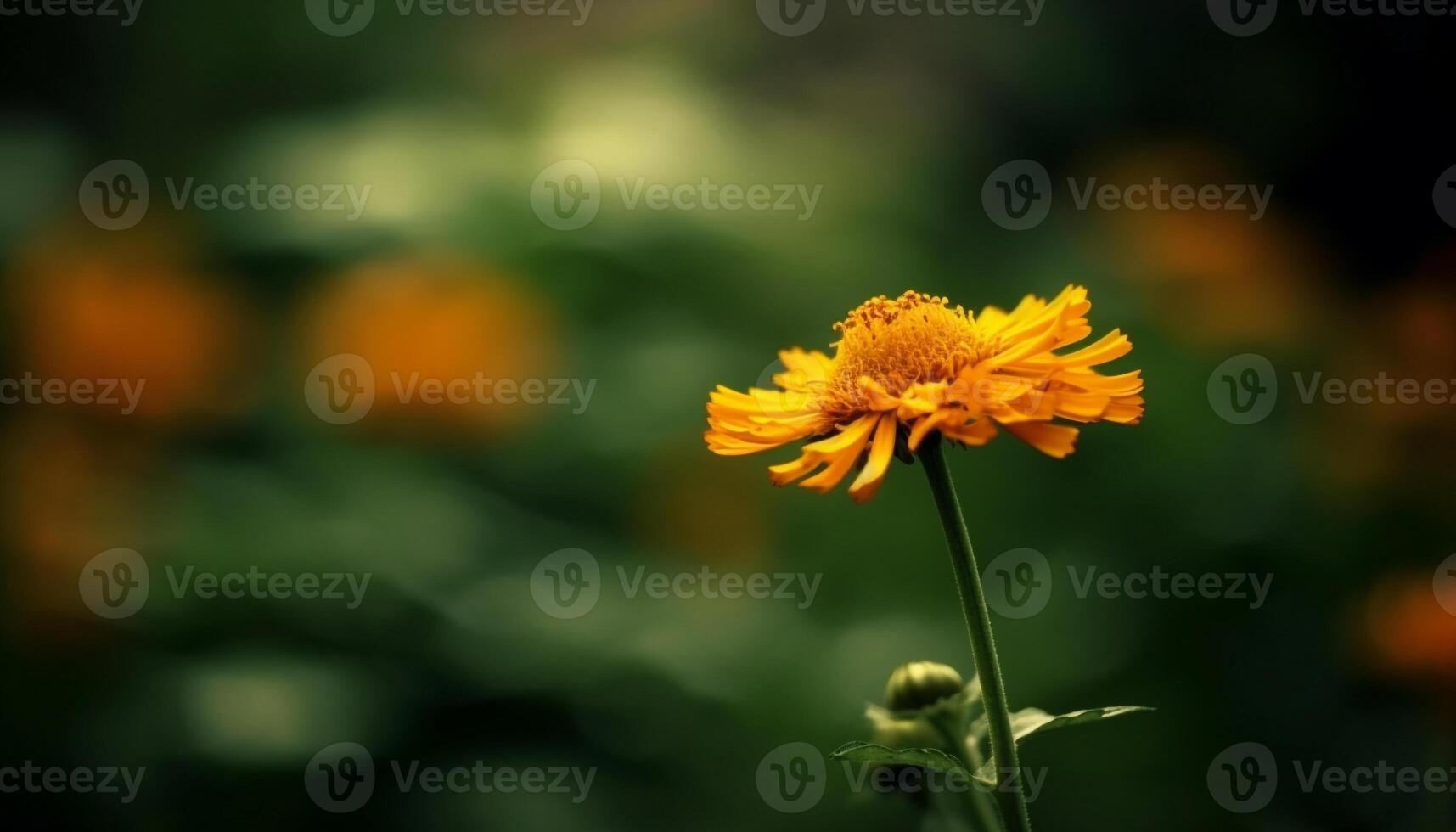 Vibrant yellow daisy blossom in meadow, surrounded by green foliage generated by AI photo