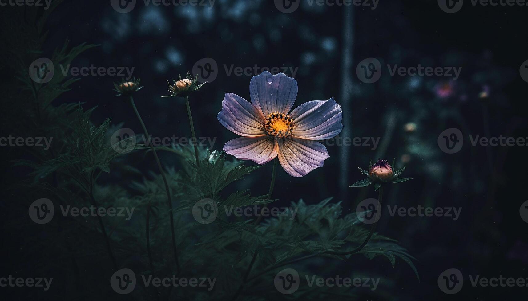 Multi colored wildflower blossom in meadow, close up of petal beauty generated by AI photo