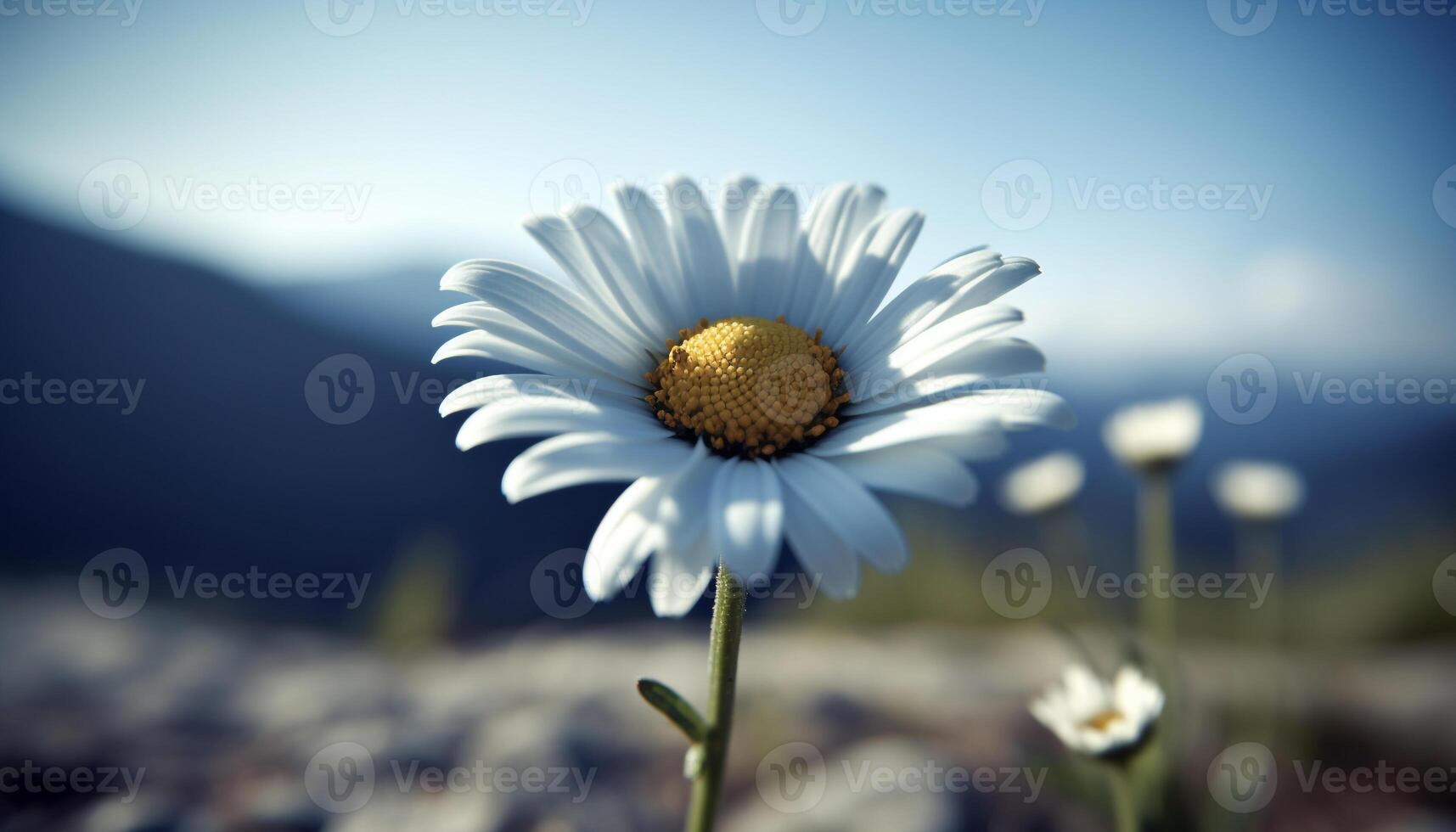 Vibrant chamomile blossom in meadow, surrounded by fresh green growth generated by AI photo