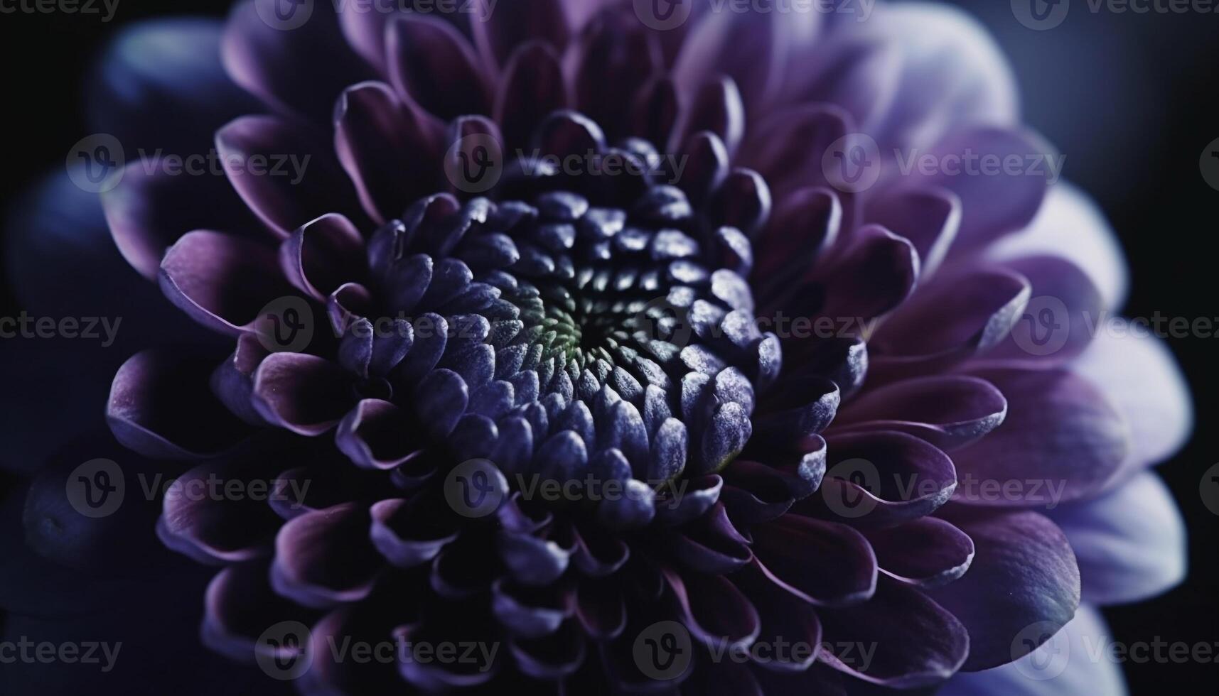 Soft focus on single flower, purple petal in nature beauty generated by AI photo