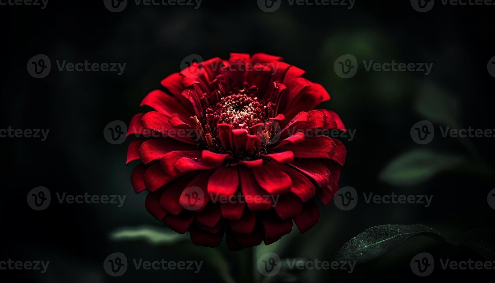 Vibrant dahlias bloom in a fragility of multi colored petals generated by AI photo