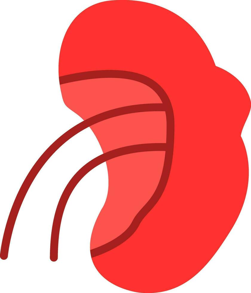 Spleen Vector Icon Design