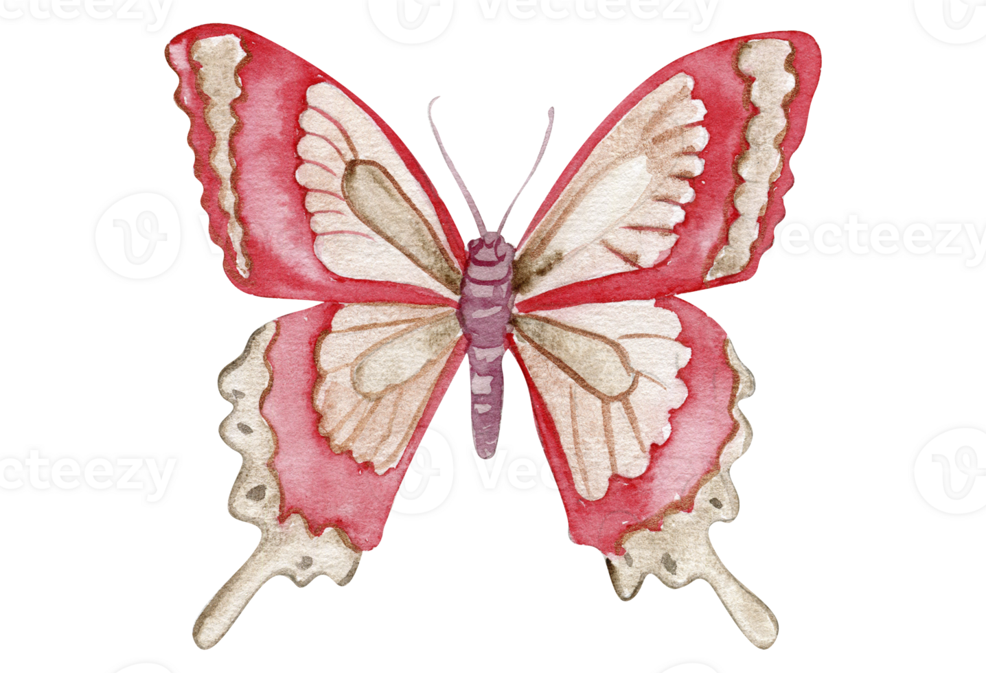 Watercolor colorful butterfly. Illustration of monarch butterfly.Hand drawn insect illustration png