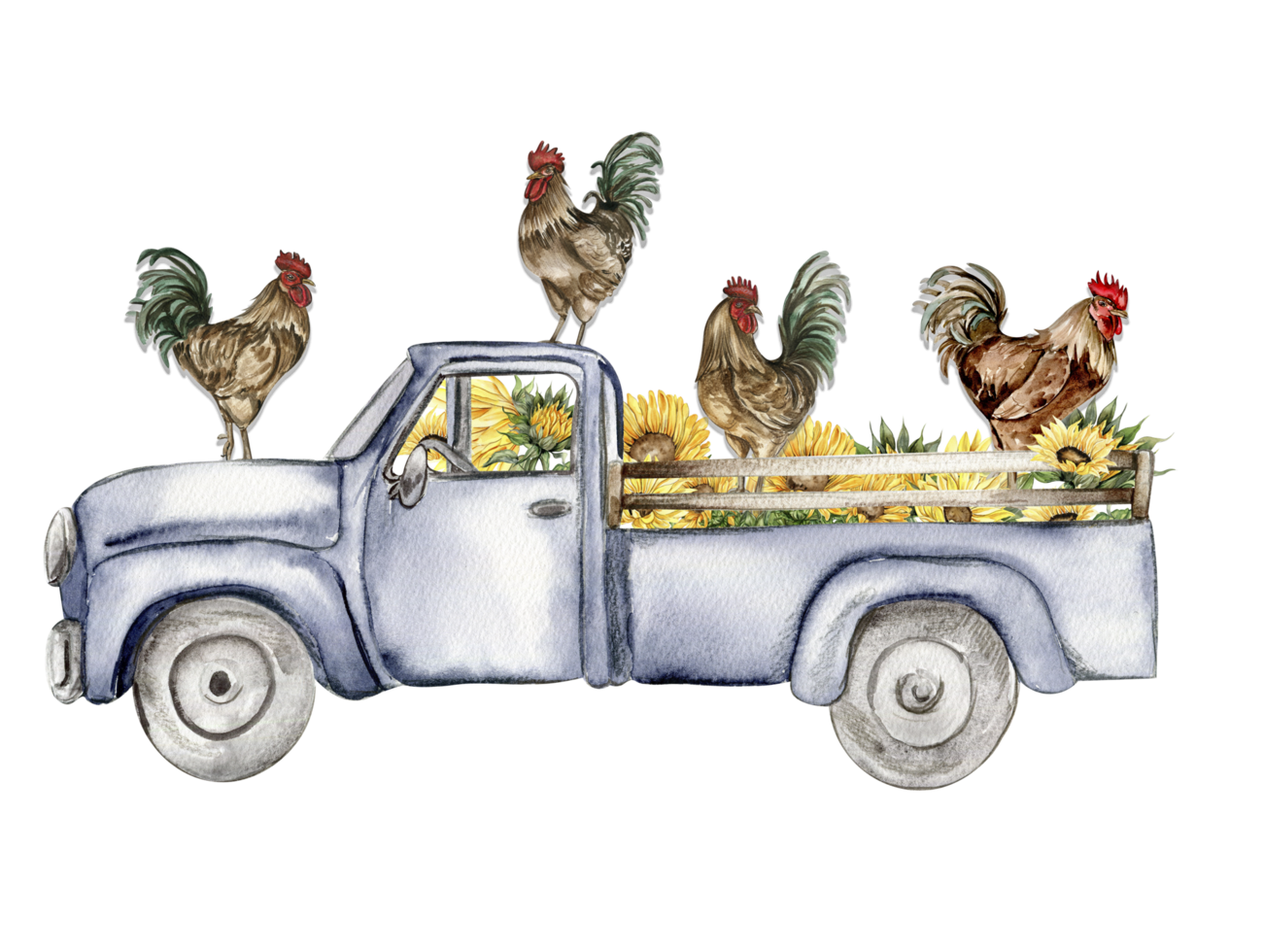 Watercolor composition of cock and truck. Hand drawn rooster, artistic painting illustration of fowl. png