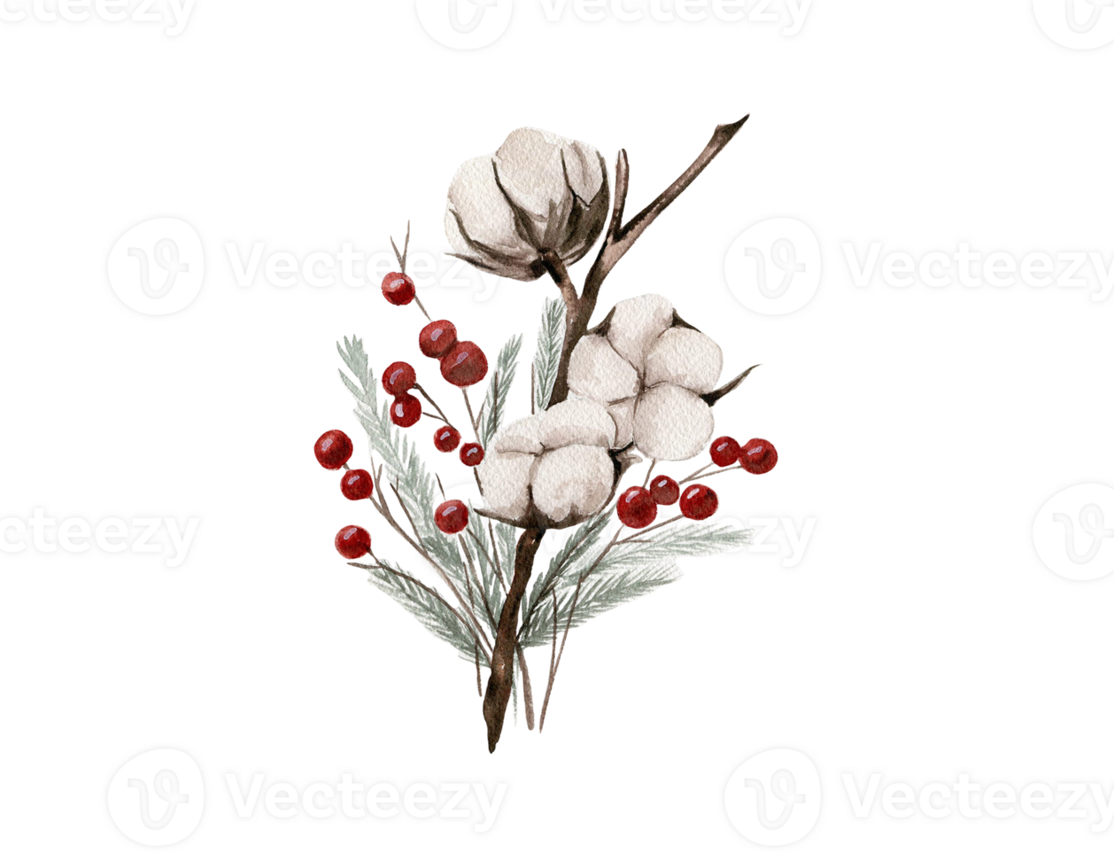 Cotton branches and red berries composition . png