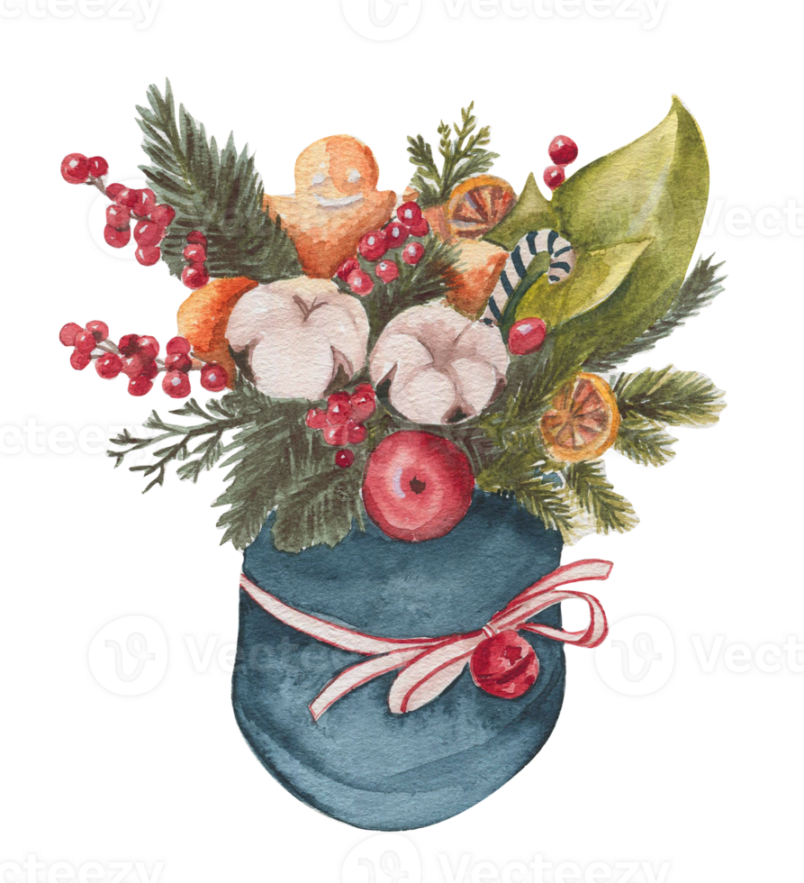 Cotton branches and red berries composition . png