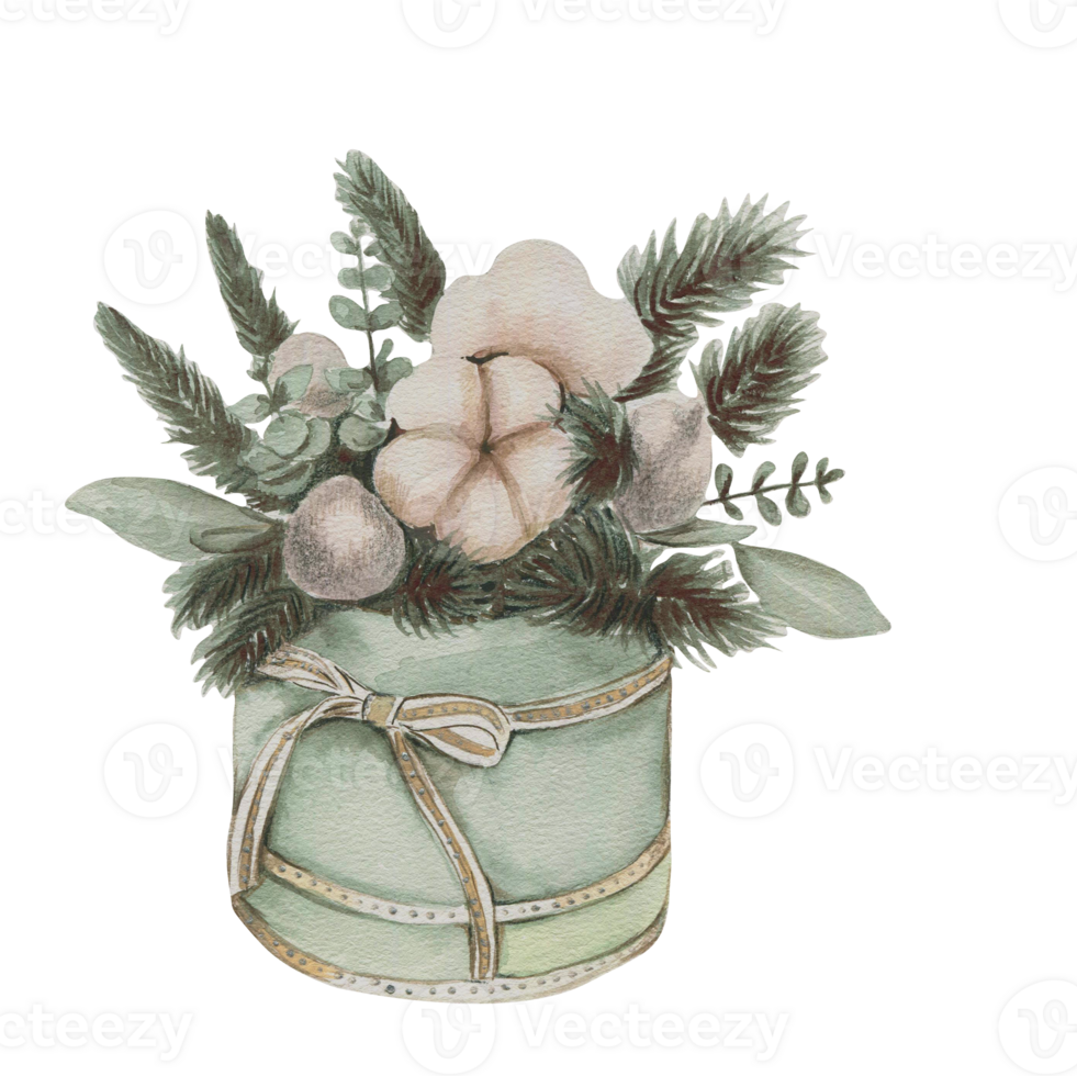 Cotton branches and eucalyptus composition . png