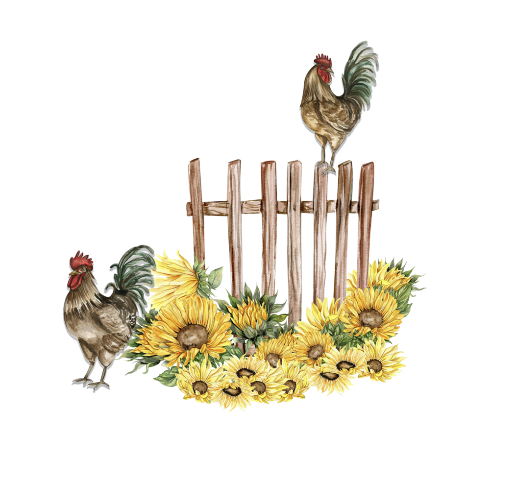Watercolor wooden fence and rooster composition. png