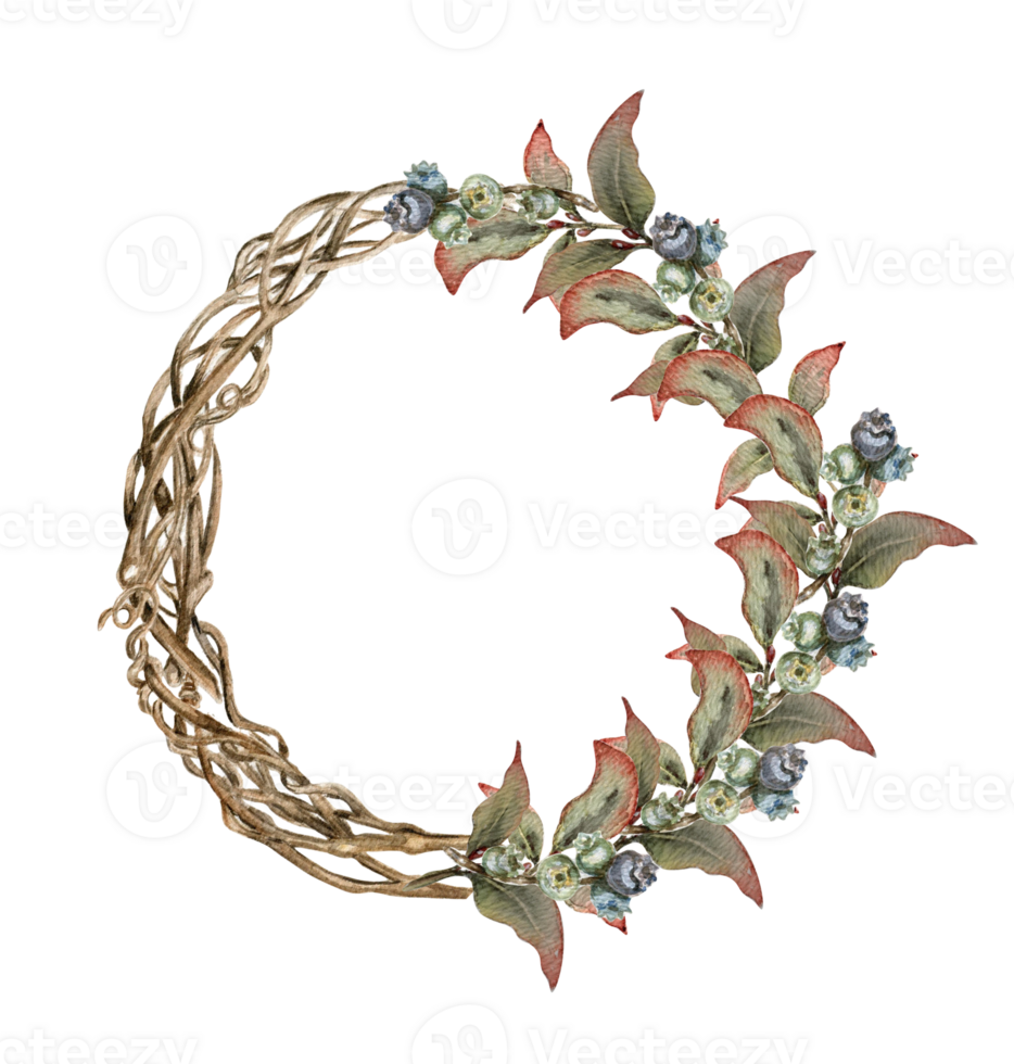 Winter wreath with dry branches, Holly and Red Berries. png