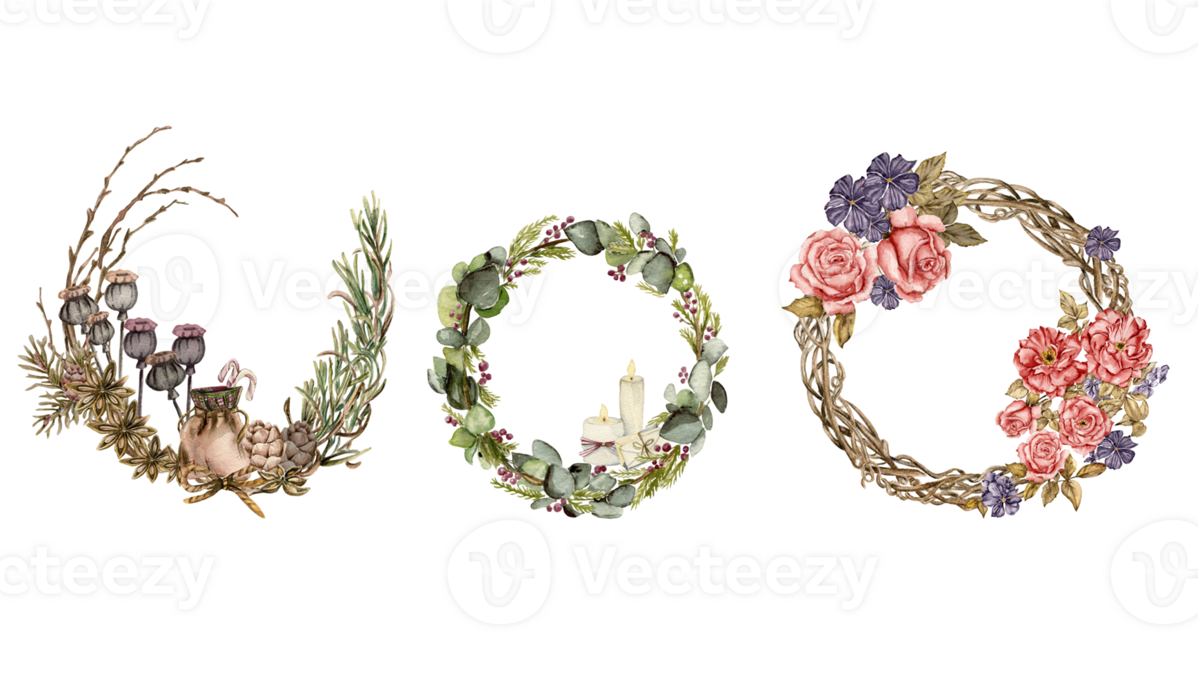 Winter wreath with watercolor dry branches, holly and red berries. png