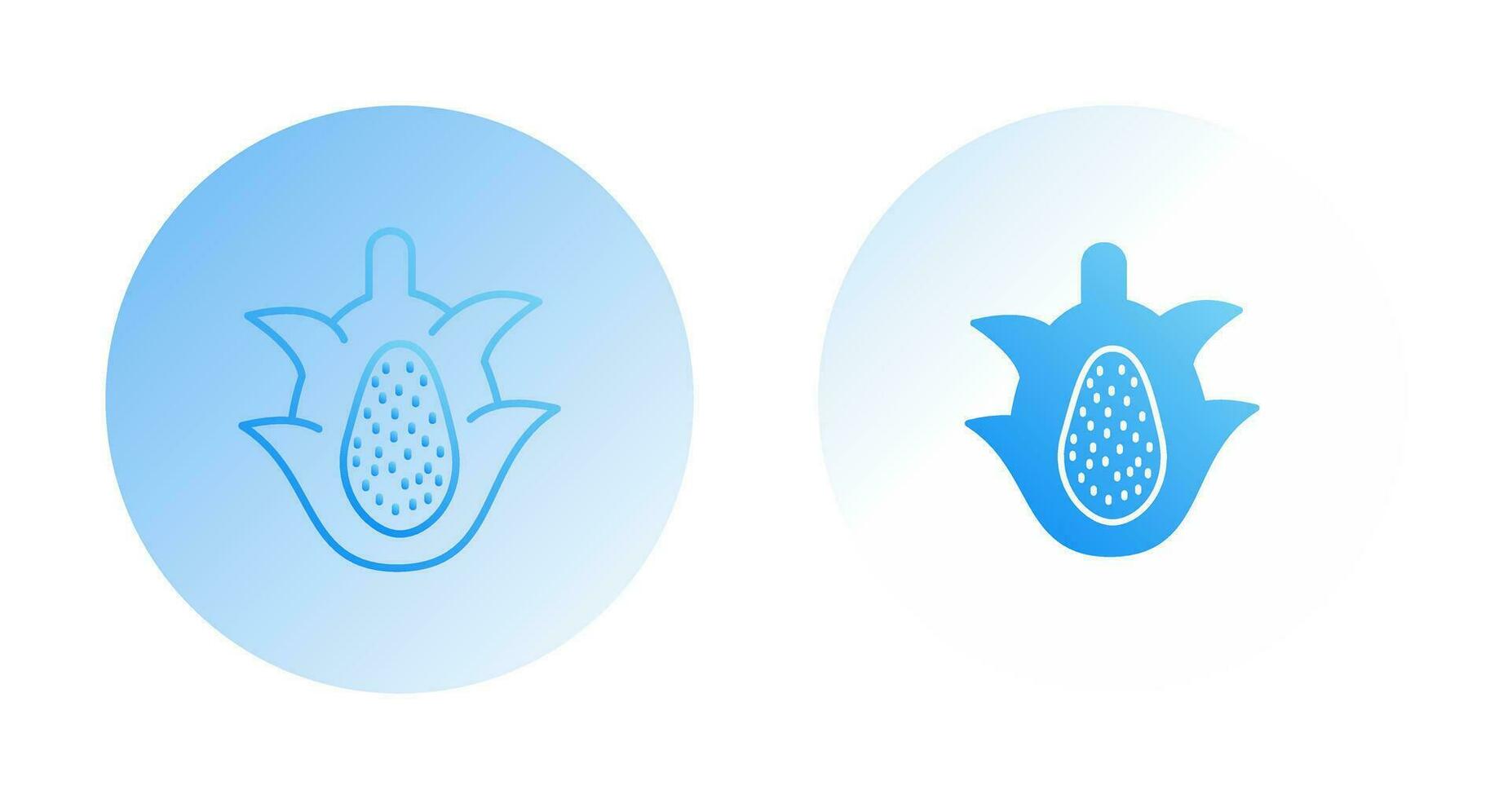 Dragon Fruit Vector Icon