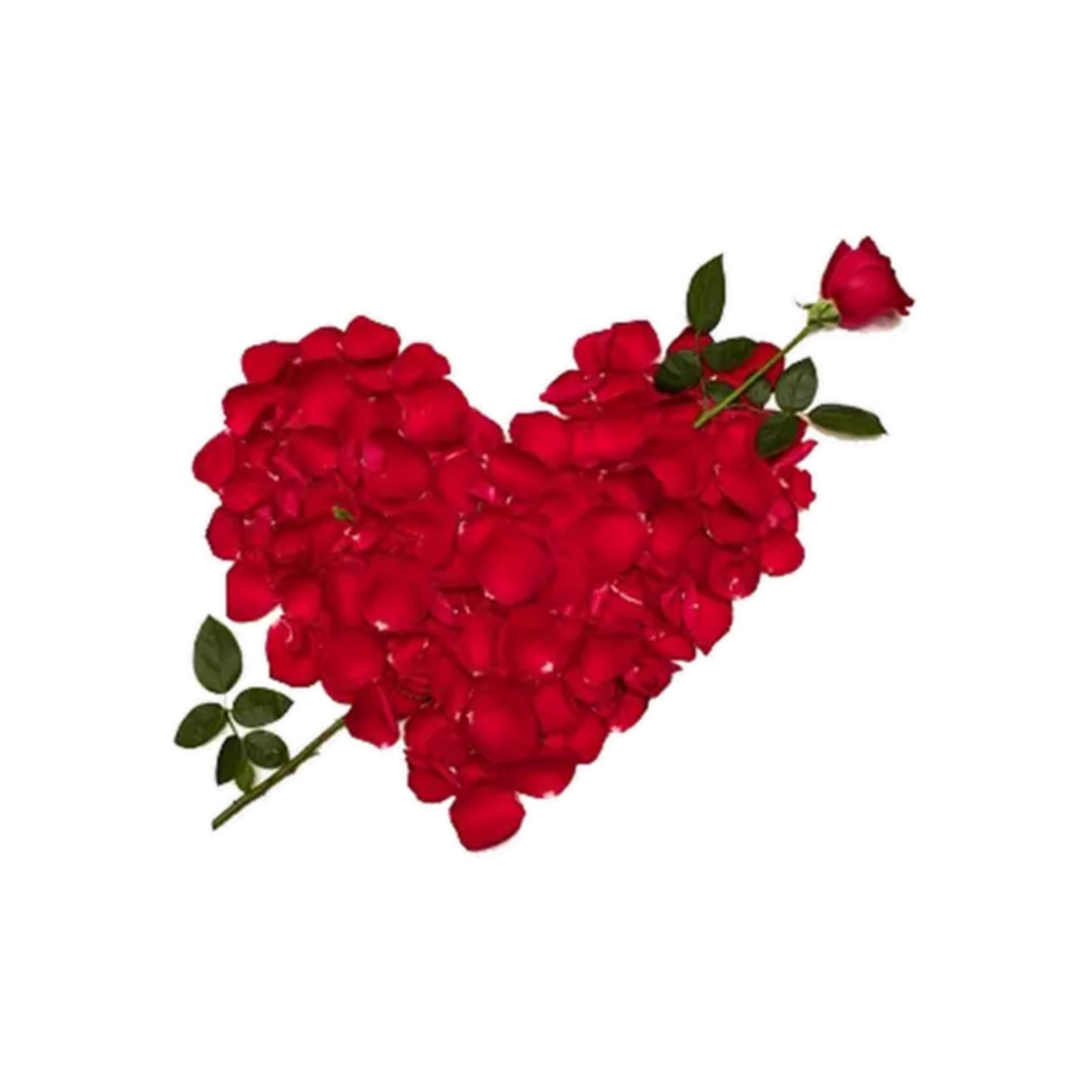 gelukkig Valentijn dag sticker png