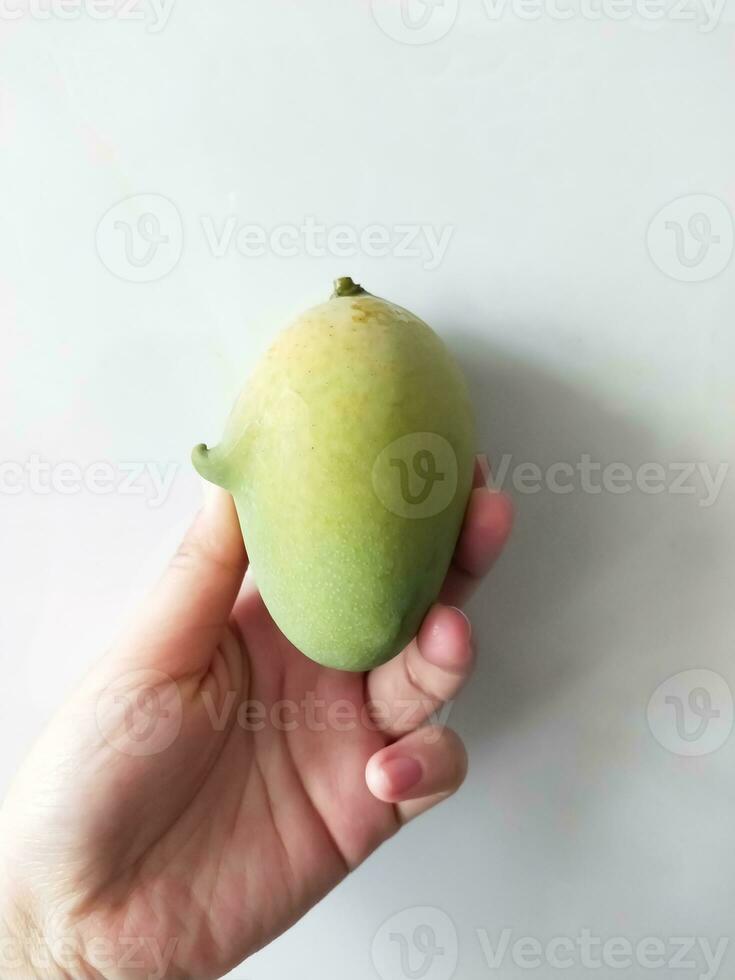 hand holding a green mango on a white background photo