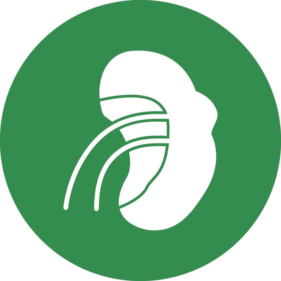 Spleen Vector Icon Design