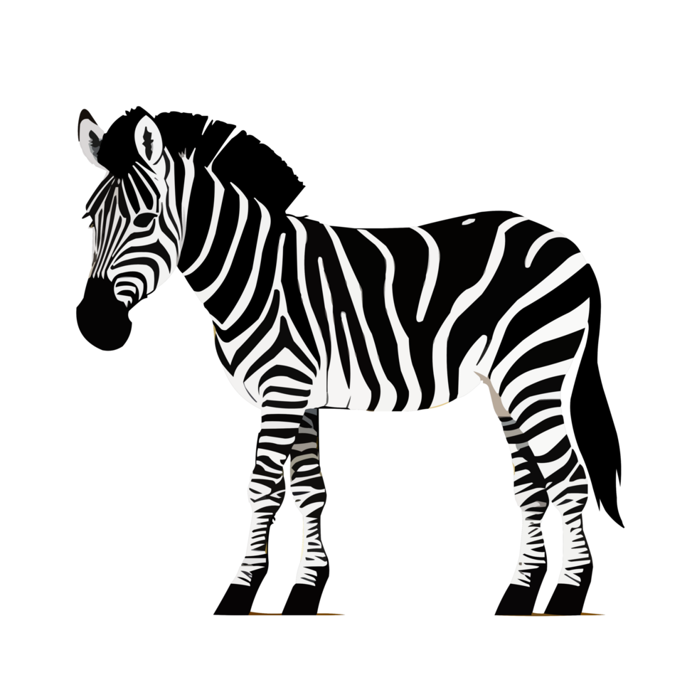 Zebra African animal png