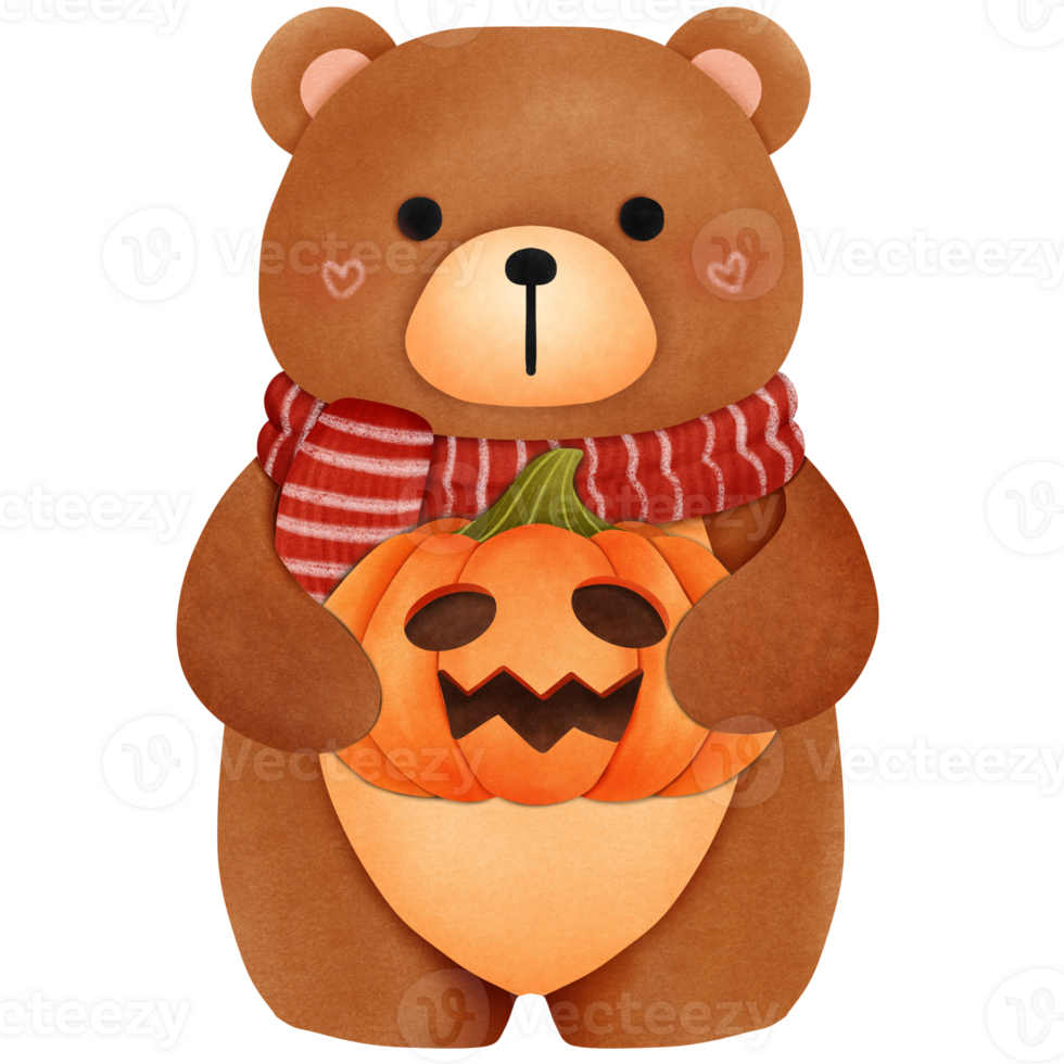 süß Grizzly Teddy Bär mit Halloween Kürbis png