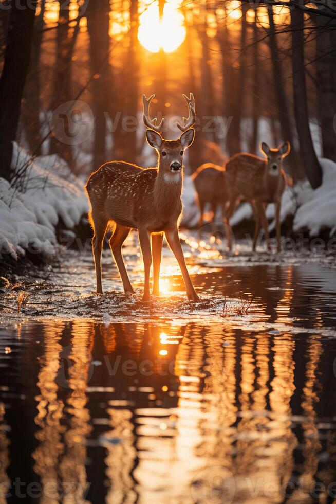 Stunning photography of a herd of deer in frozen forest. AI generative photo