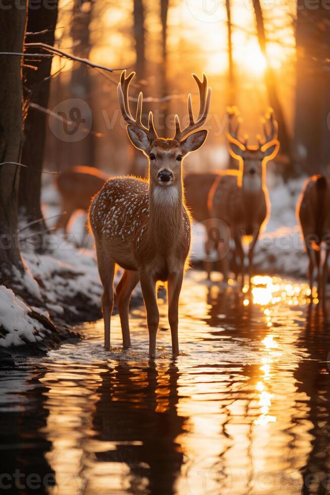 maravilloso fotografía de un manada de ciervo en congelado bosque. ai generativo foto