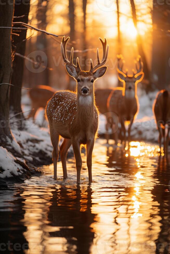 Stunning photography of a herd of deer in frozen forest. AI generative photo