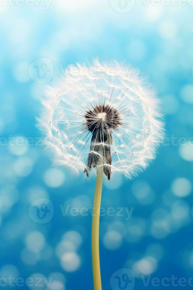 A jellyfish dandelion in blue with light shining through it, in the style of lensbaby velvet. AI generative photo