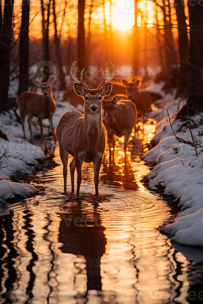 Stunning photography of a herd of deer in frozen forest. AI generative photo