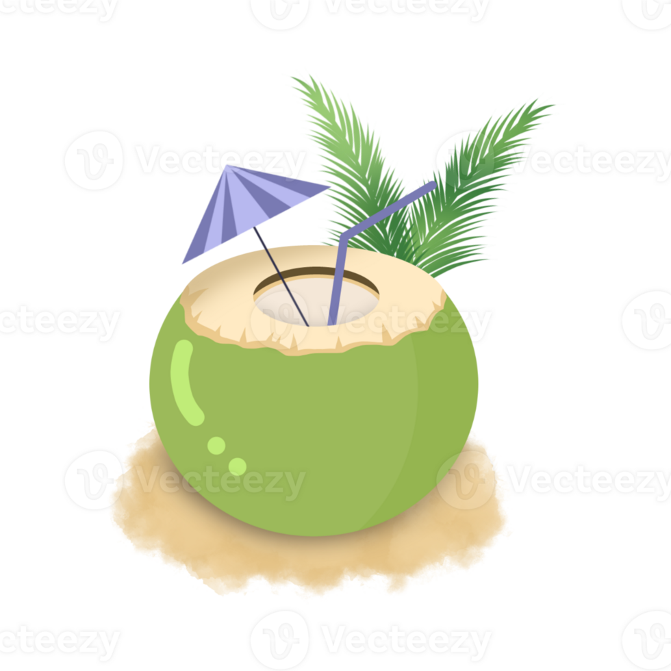 Young Coconut Illustration png