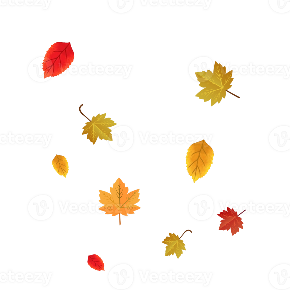 Autumn leaves borders. Nature design elements. Fall maple leaves for decoration. png
