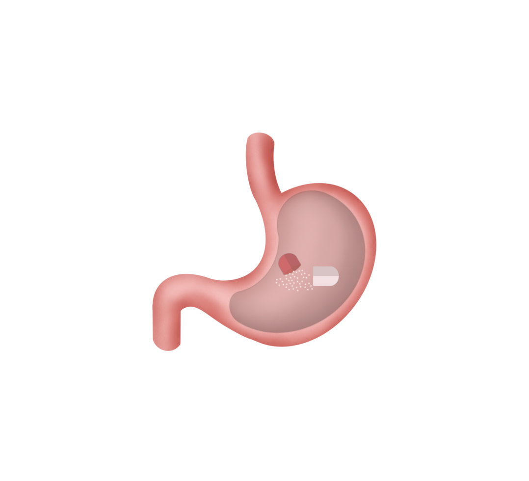 Stomach Intestine Is Being Treated With Medicine Pill, Capsule with medicaments, Dissolving drug, Human Stomach treatment, Capsule with medicaments, gastritis vaccine in a pill concept png