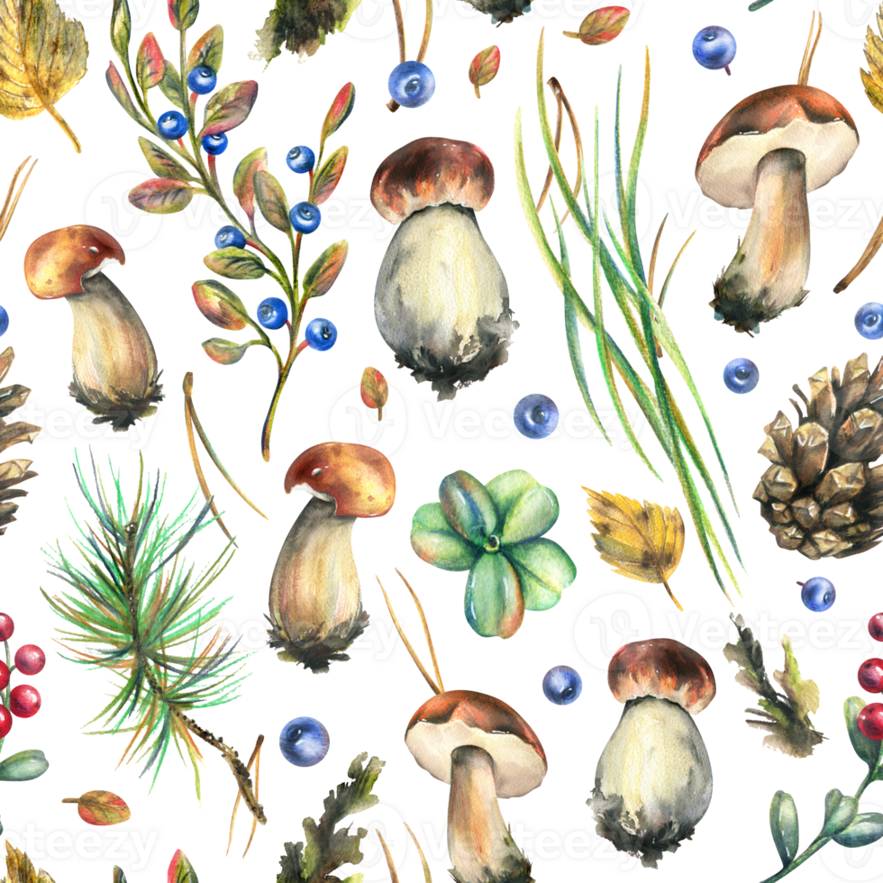 Forest edible boletus mushrooms with blueberries, lingonberries, twigs, cones, grass and autumn leaves. Watercolor illustration, hand drawn. Seamless pattern png